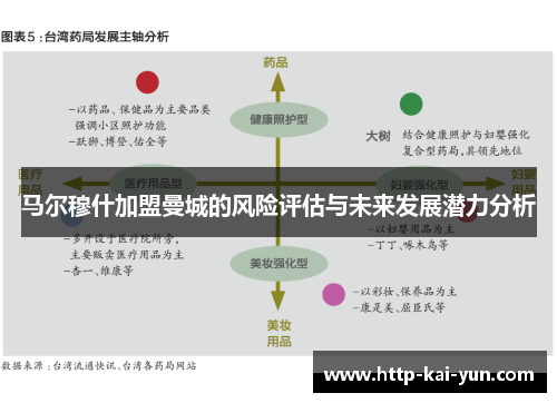 马尔穆什加盟曼城的风险评估与未来发展潜力分析